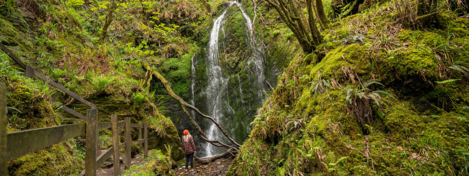 Dhoon Glen